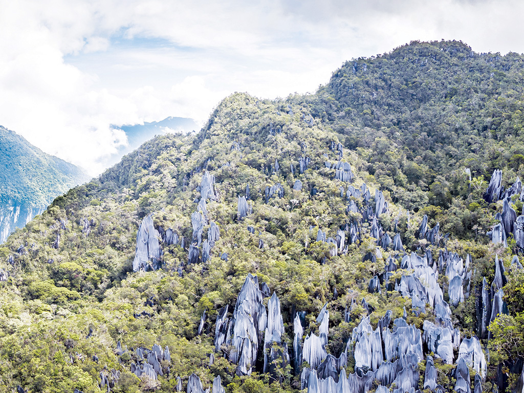  Malaysia invites sustainable, eco-curious travel